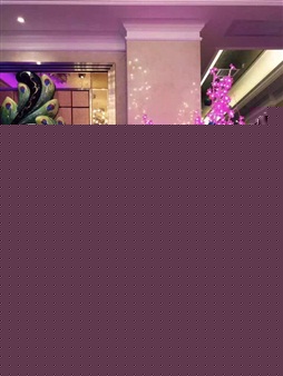 道真纯K量贩KTV